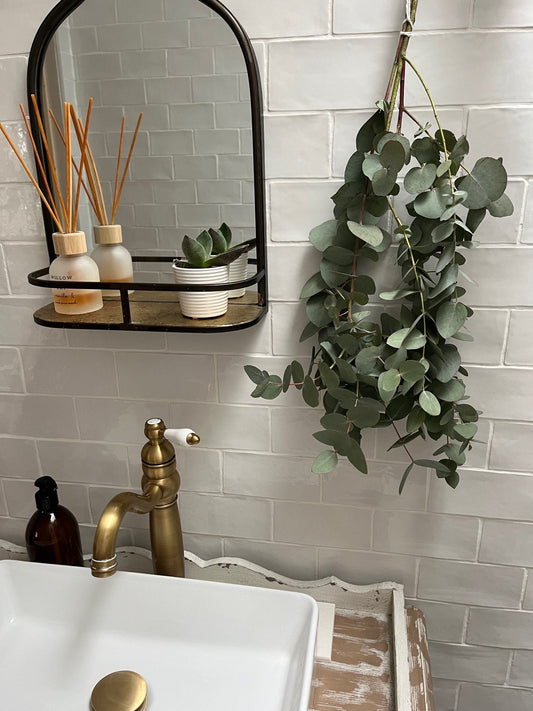 Bunch of Dried Eucalyptus - Large