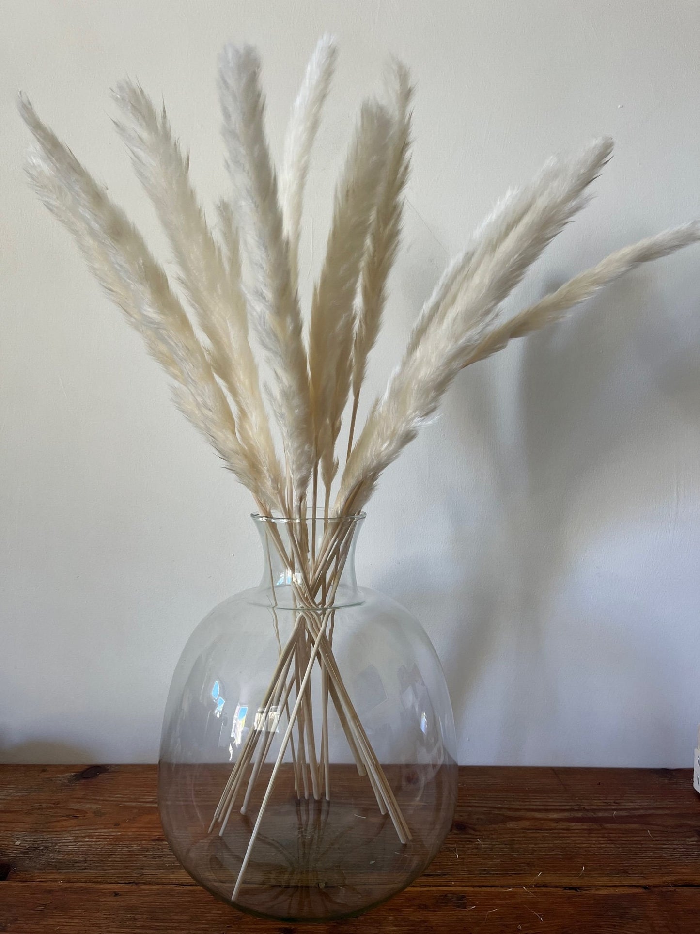 Dried Fluffy Pampas Bleached