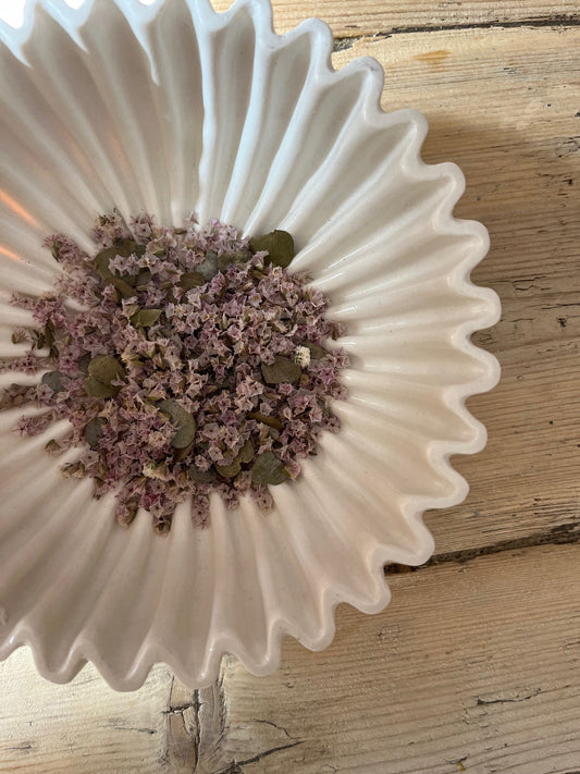 Biodegradable Confetti