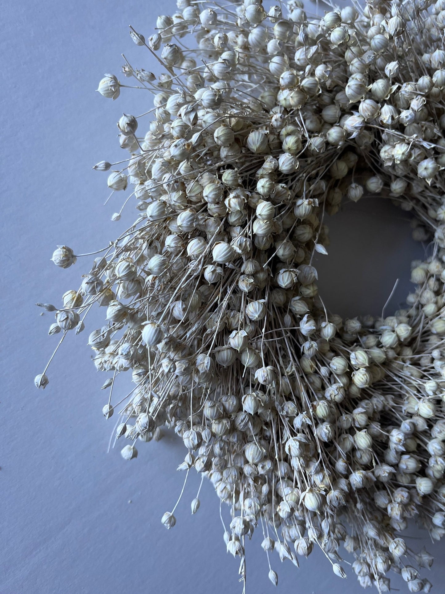 Dried Linum (Flax Seed) Wreath