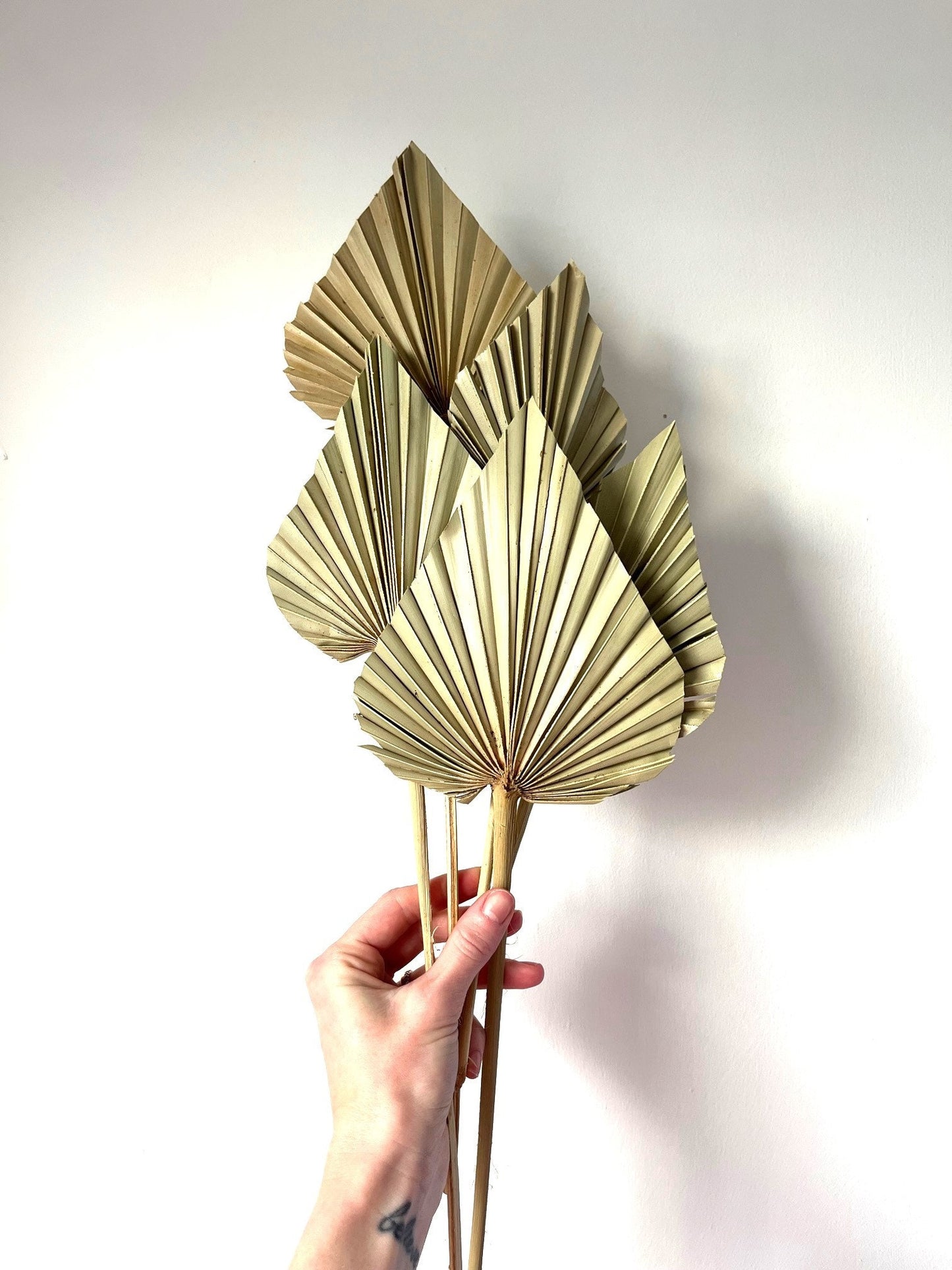 Natural Dried Palm Spears