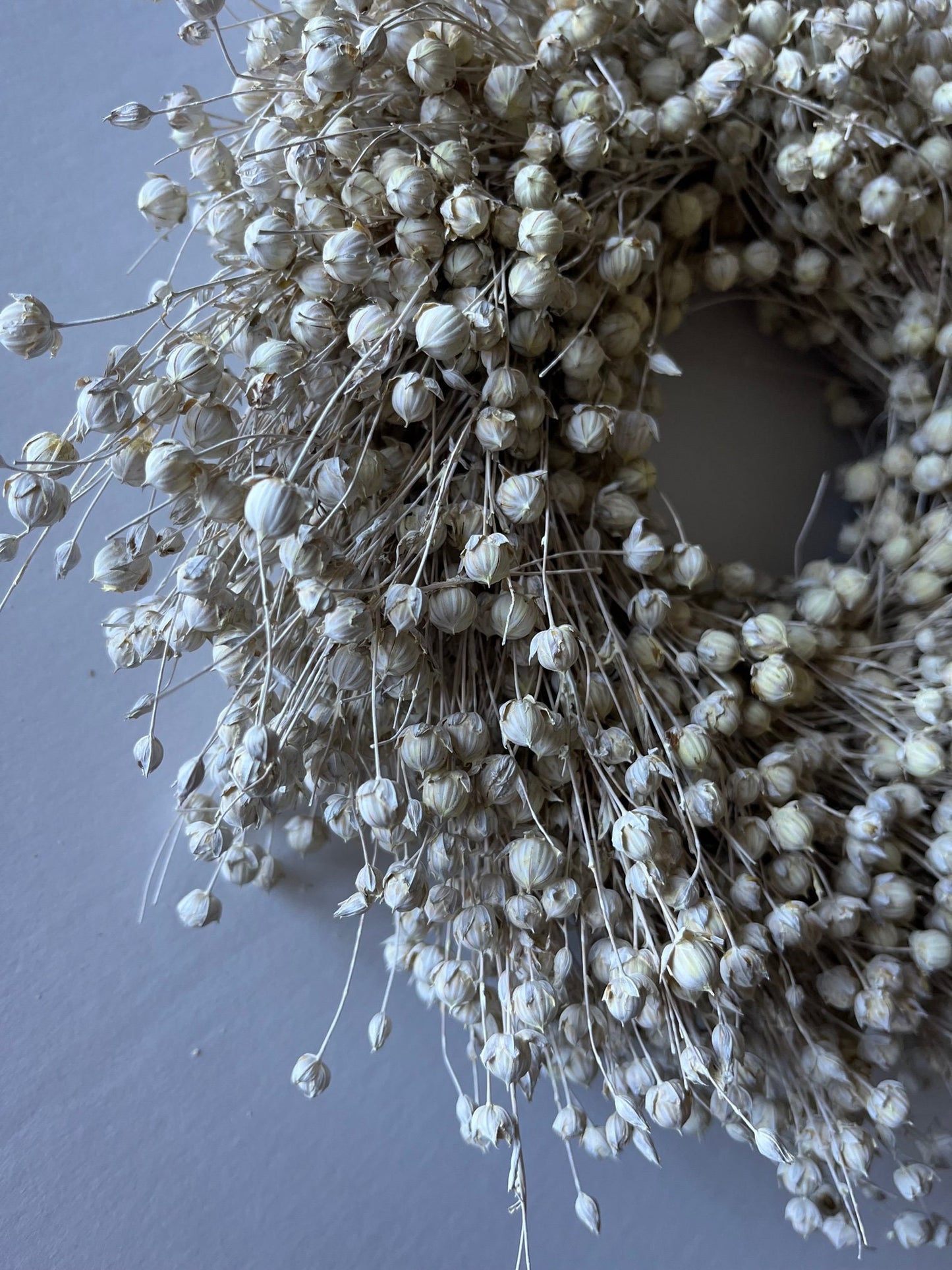 Dried Linum (Flax Seed) Wreath