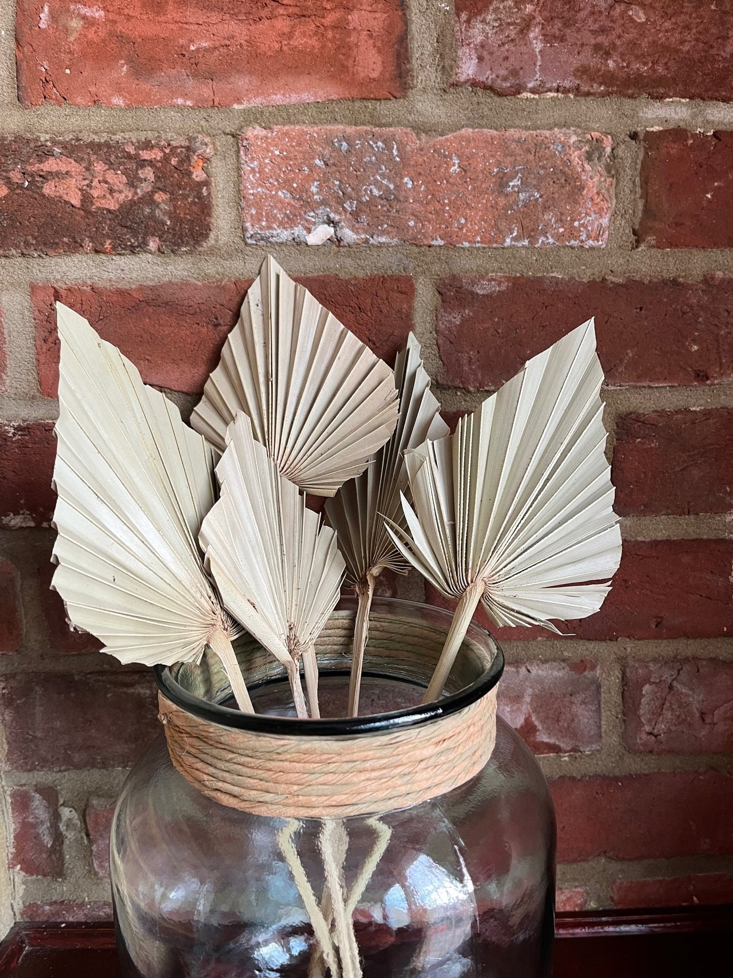 Natural Dried Palm Spears