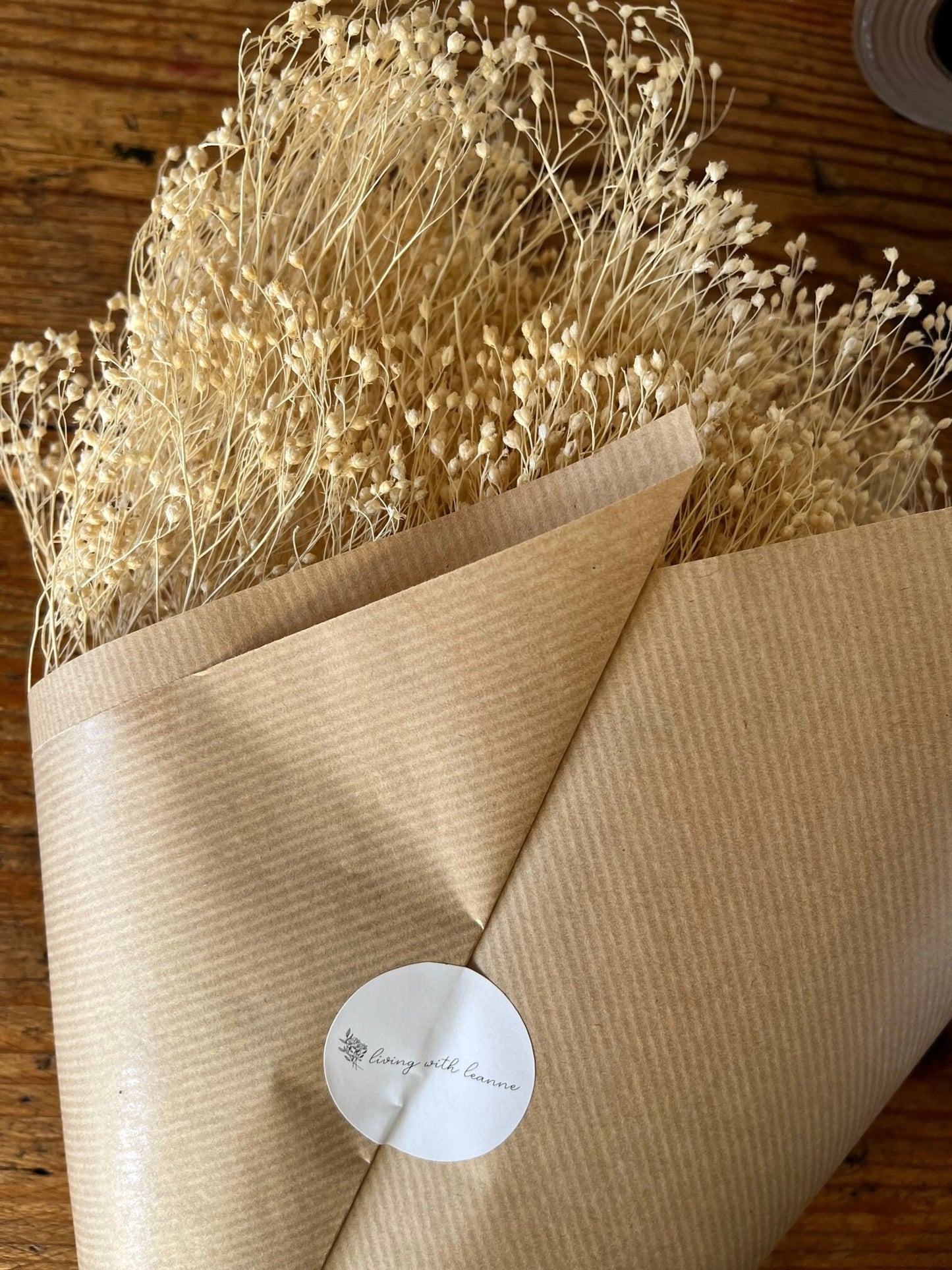 Bleached White Dried Broom Bloom