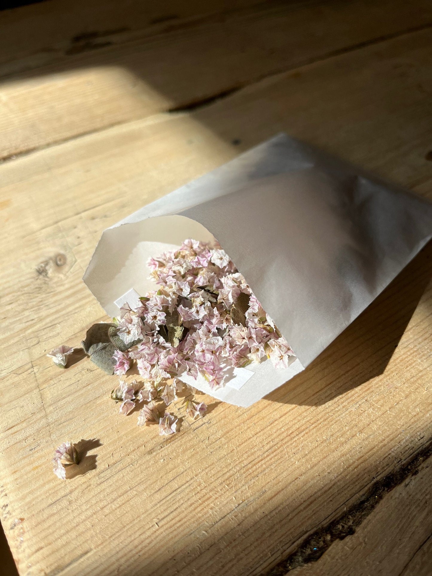 Biodegradable Confetti