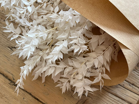 Bleached White Preserved Ruscus