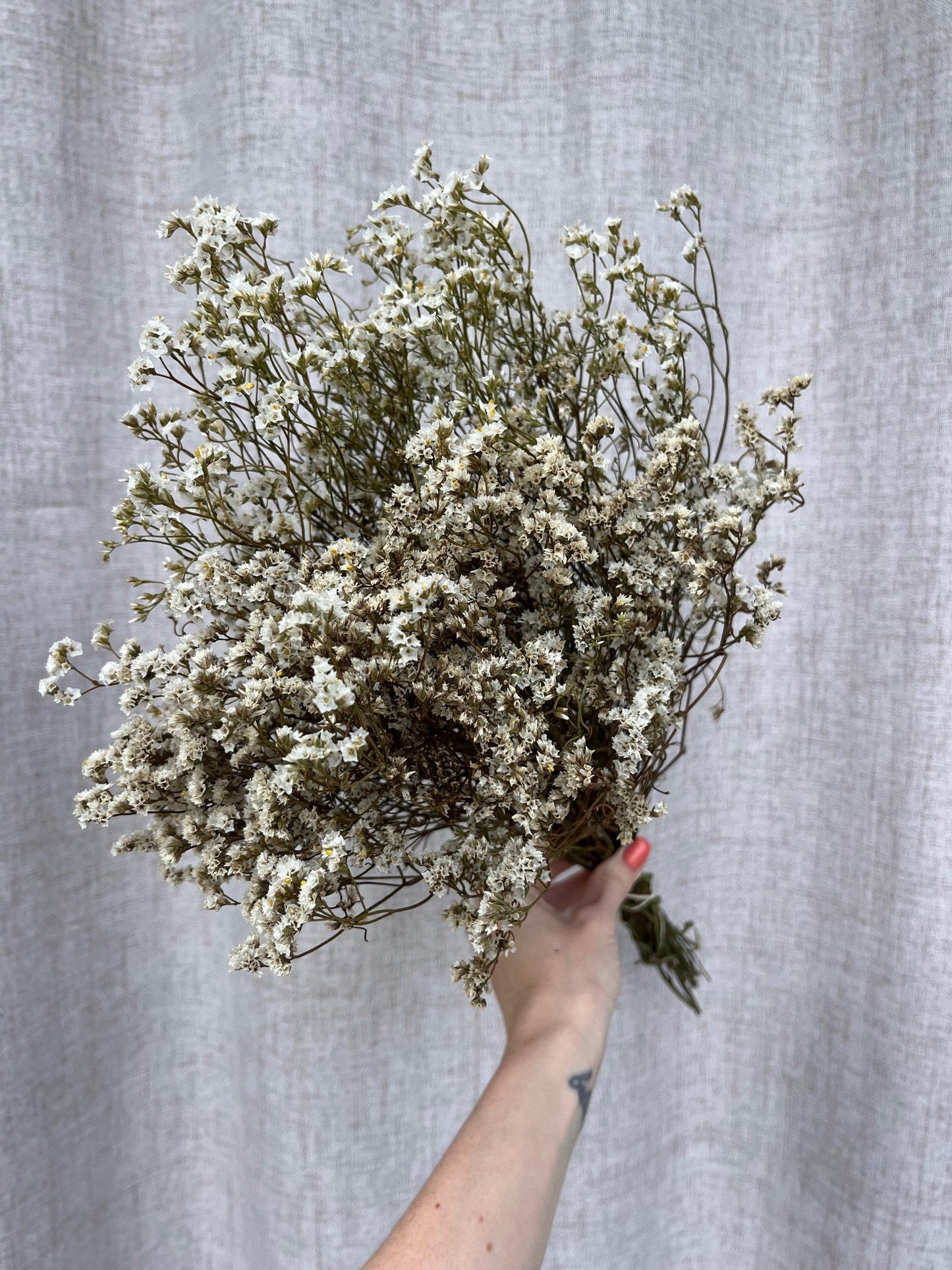 Dried White Statice (Limonium)