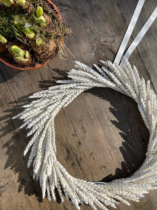 45cm Dried Wheat Wreath (Triticum)