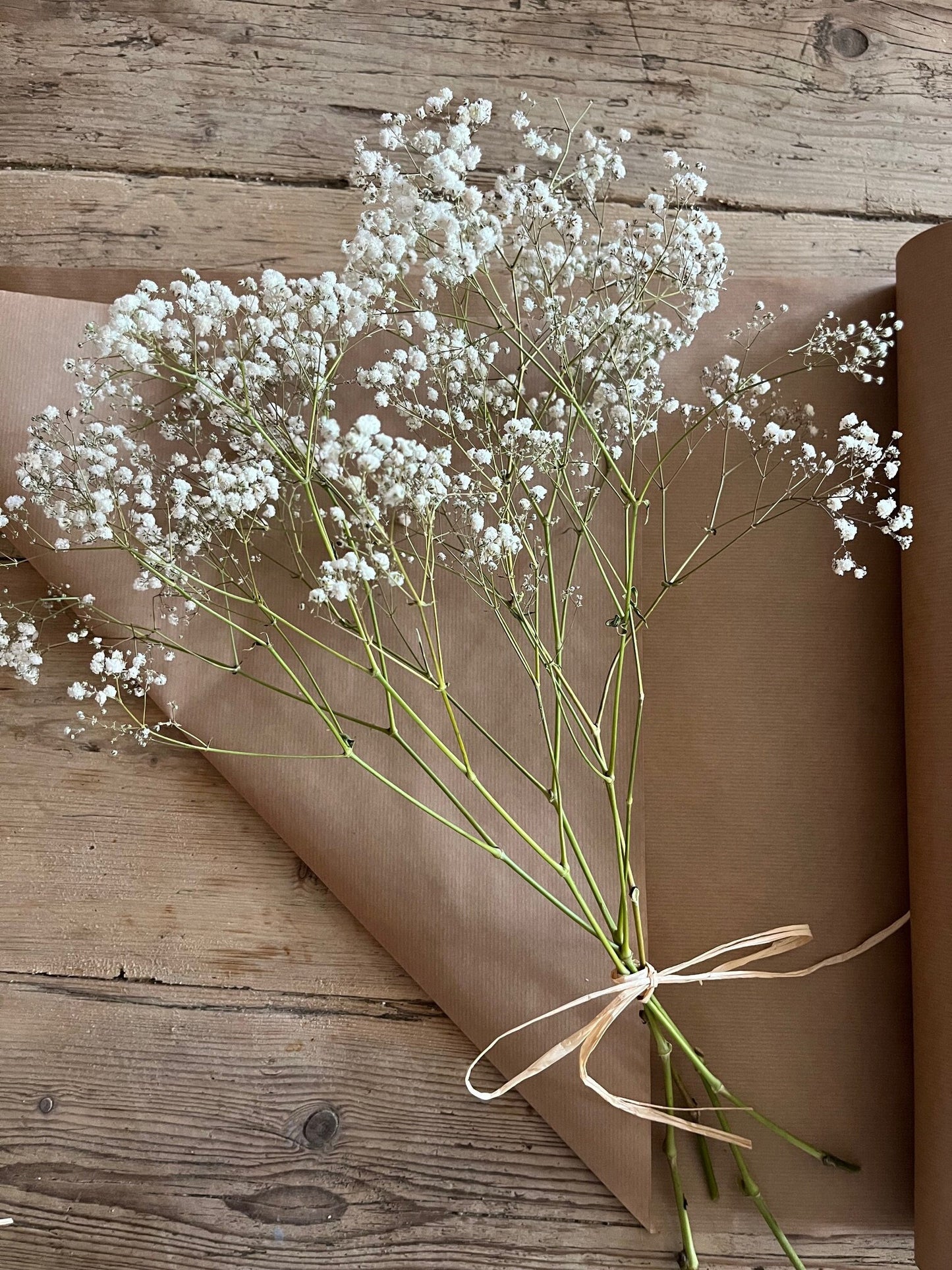 Dried Gypsophila