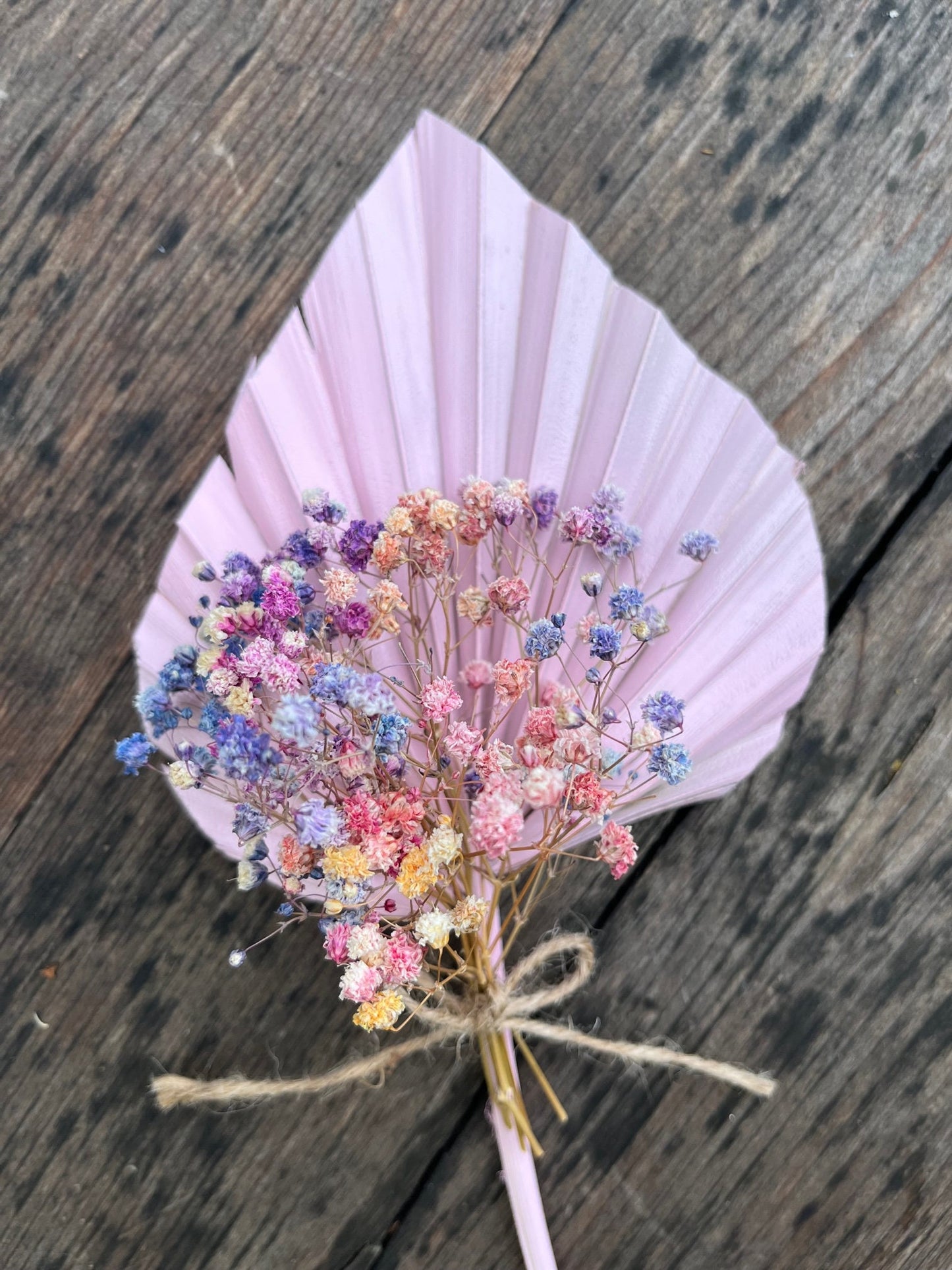 Natural Dried Palm Spears - Pink