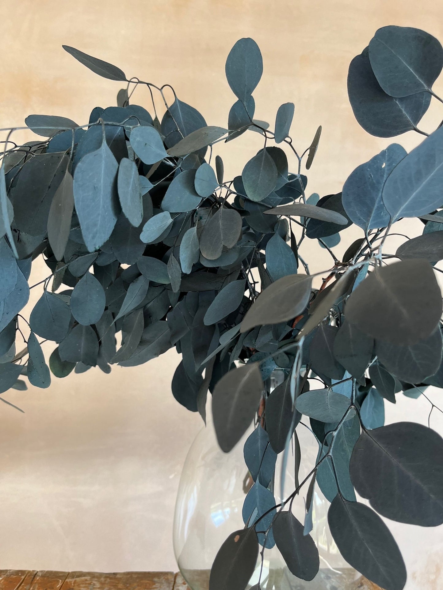 Preserved Eucalyptus Populus