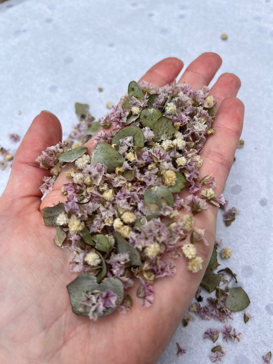 Biodegradable Confetti