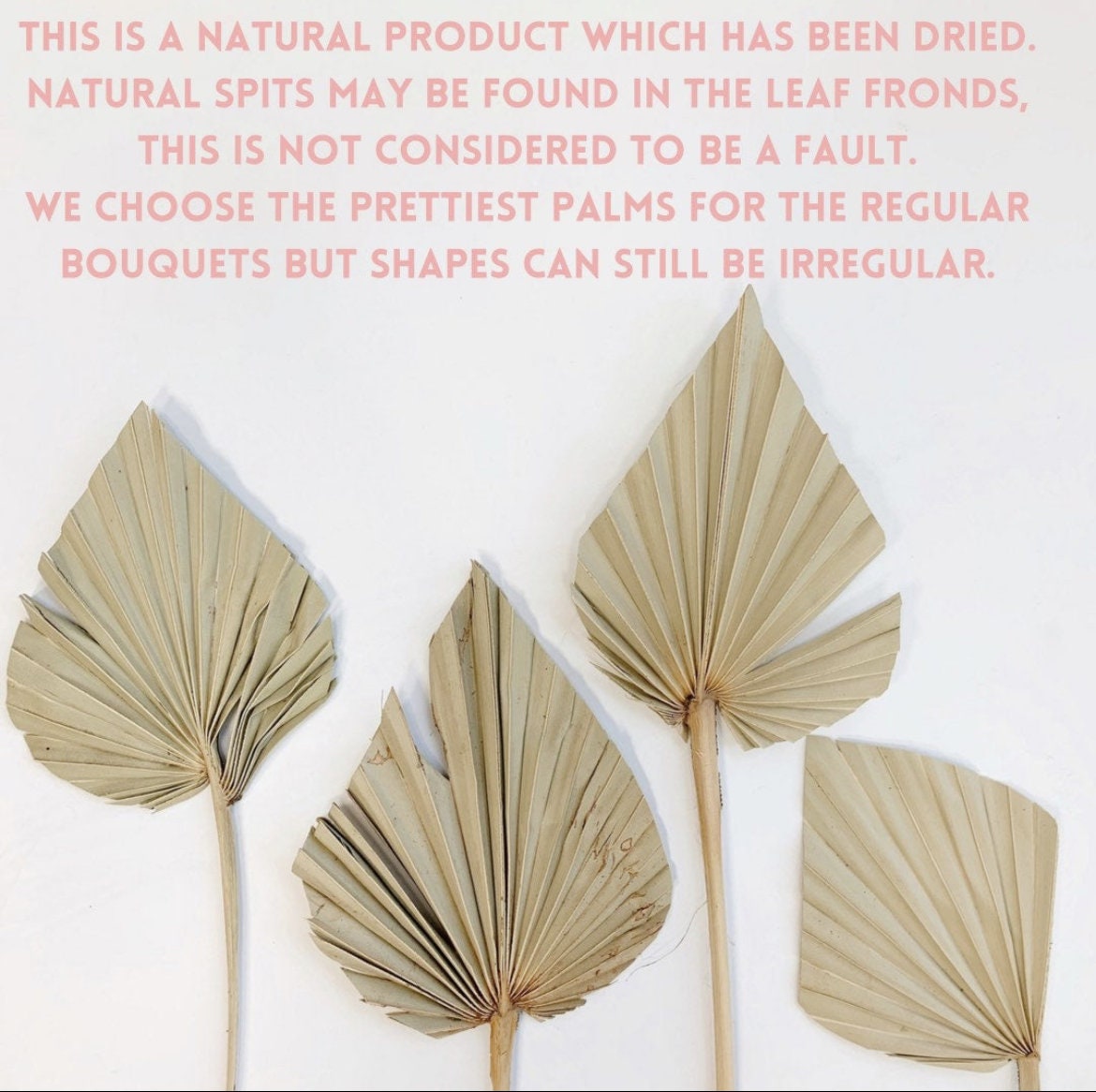 Natural Dried Palm Spears - Pink