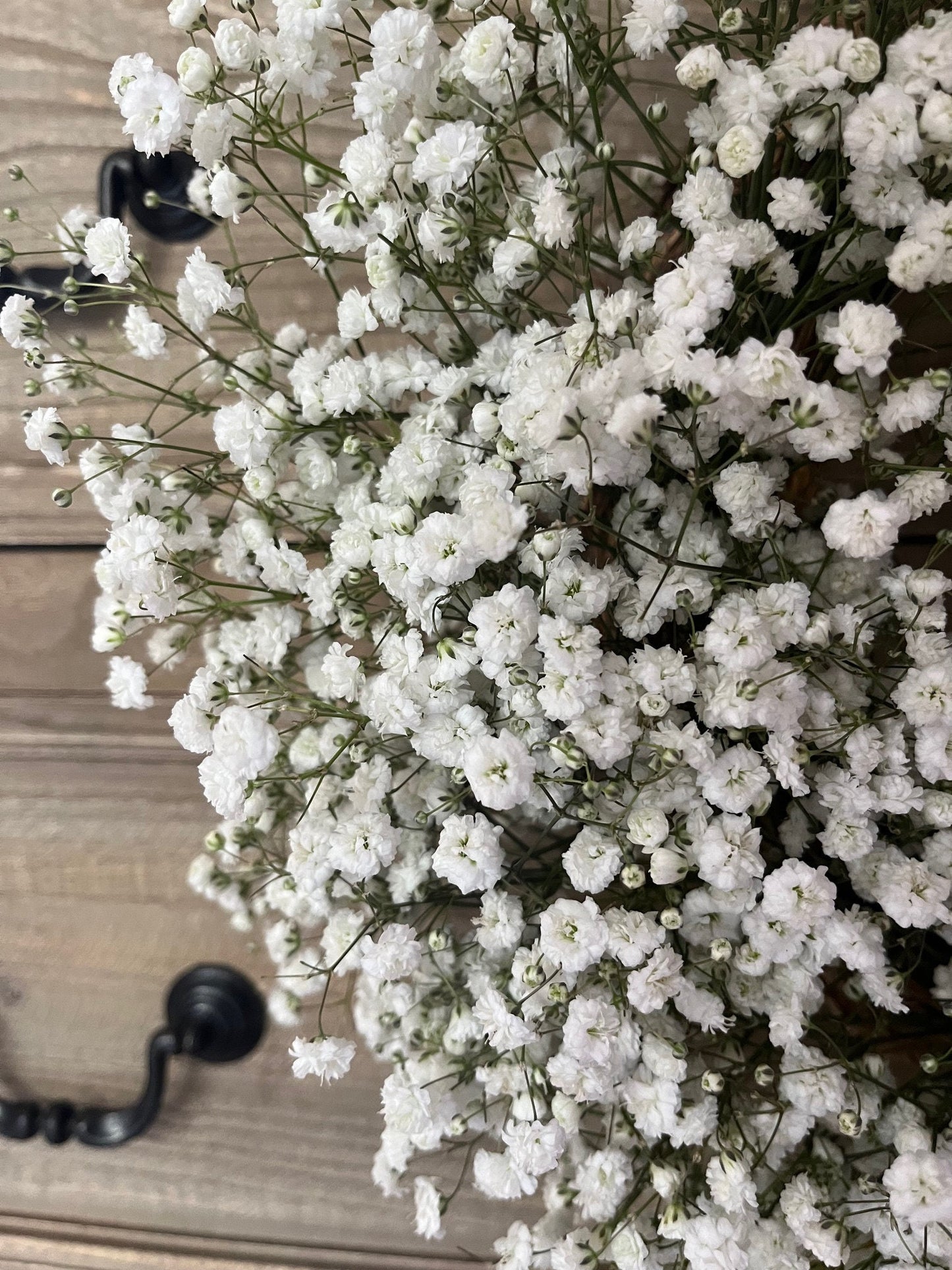 Fresh Gypsophila Wreath