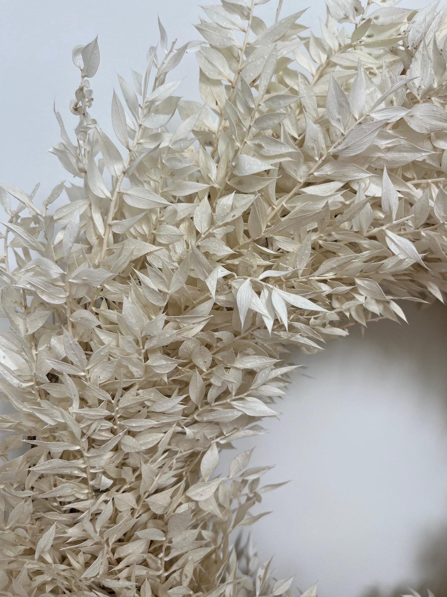 Dried White Ruscus Wreath