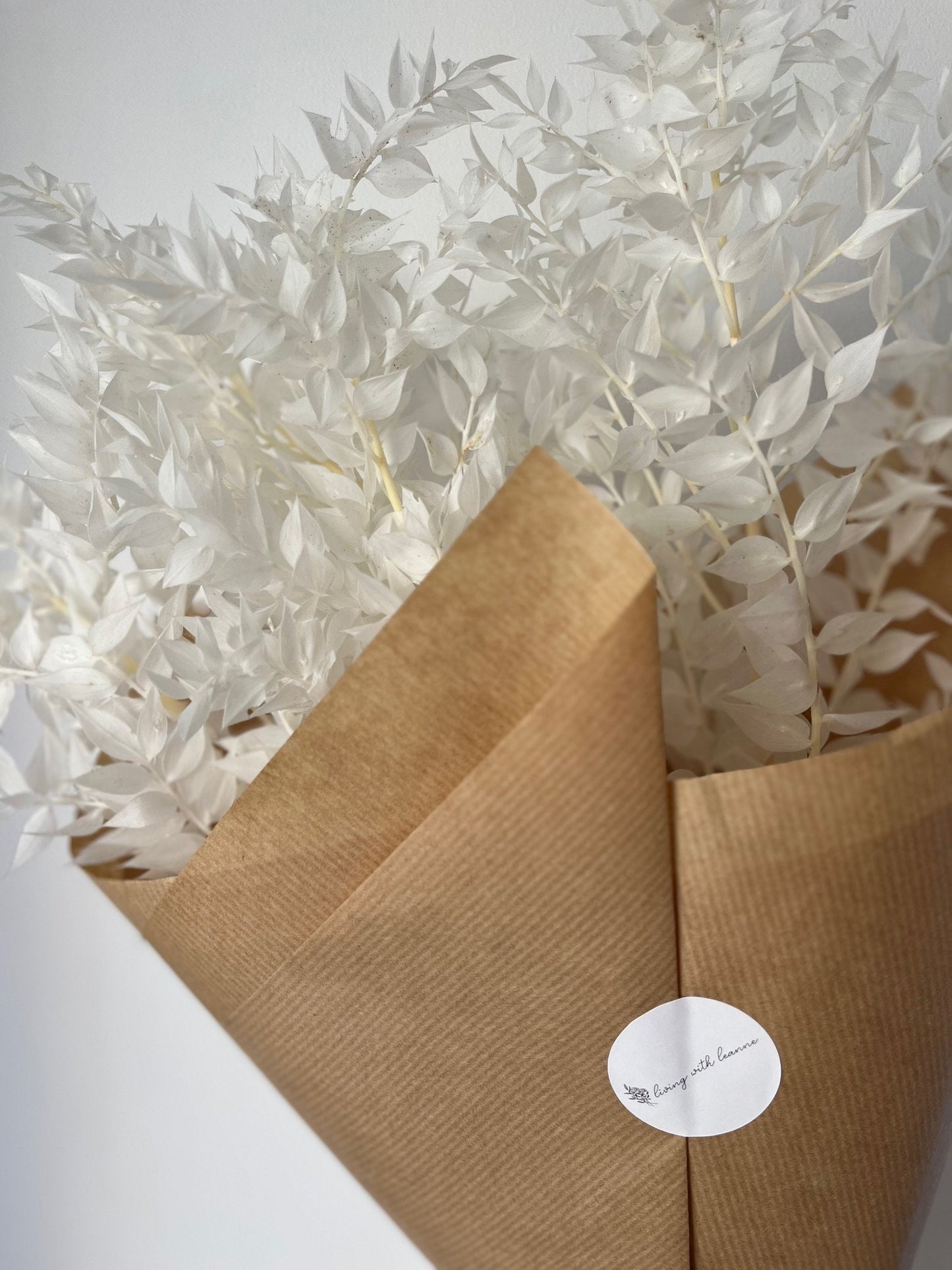 Bleached White Preserved Ruscus