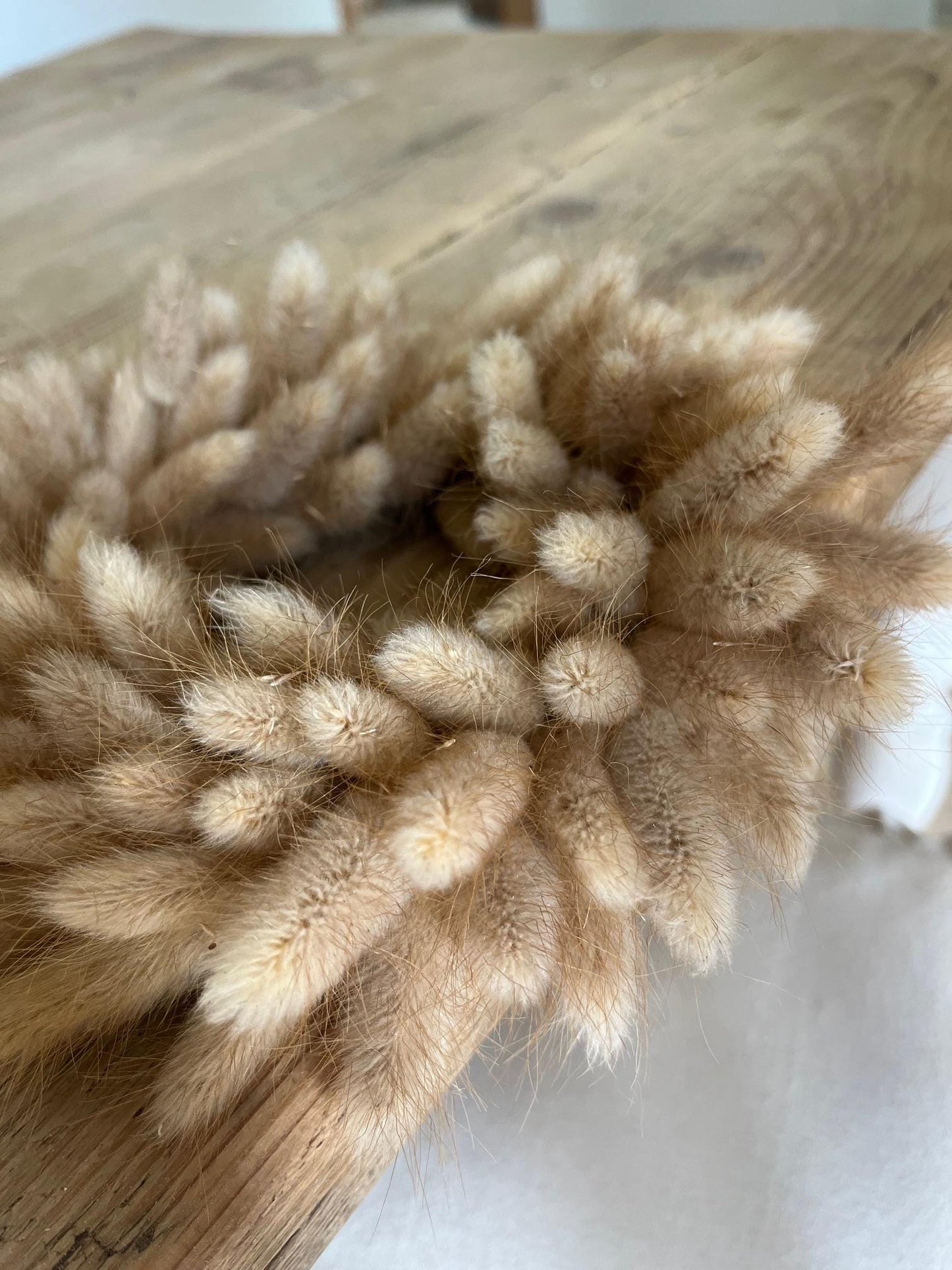 Mini Dried Bunny Tails (Lagurus) Wreath