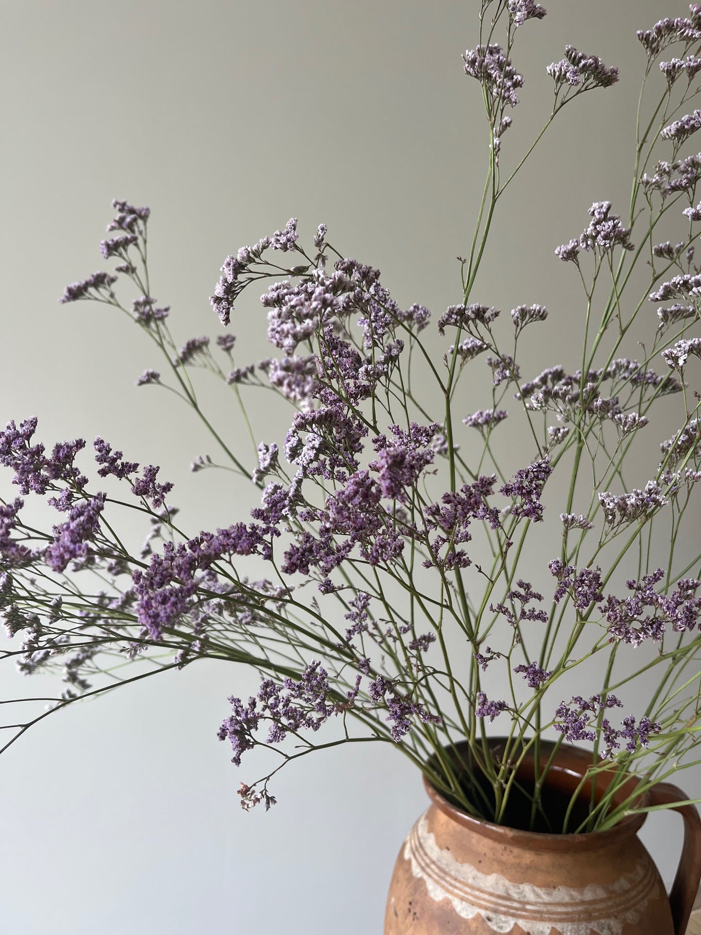 Dried Limonium - Natural Purple
