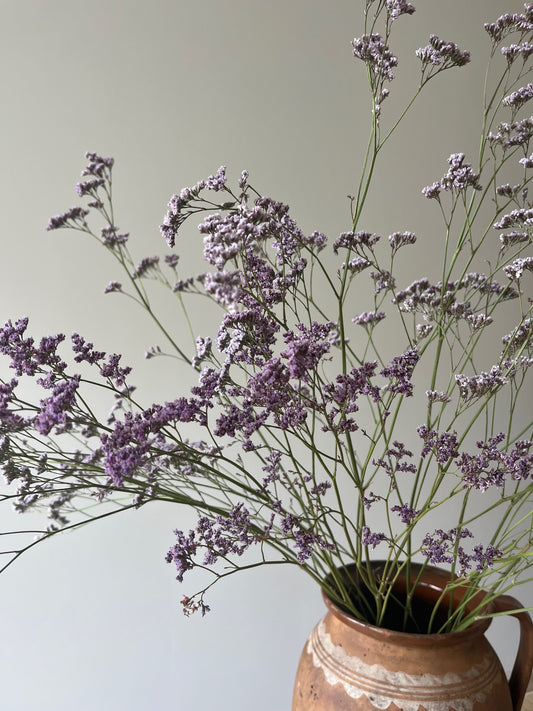Dried Limonium - Natural Purple