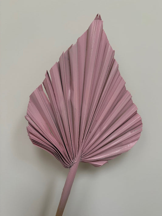 Natural Dried Palm Spears - Pink