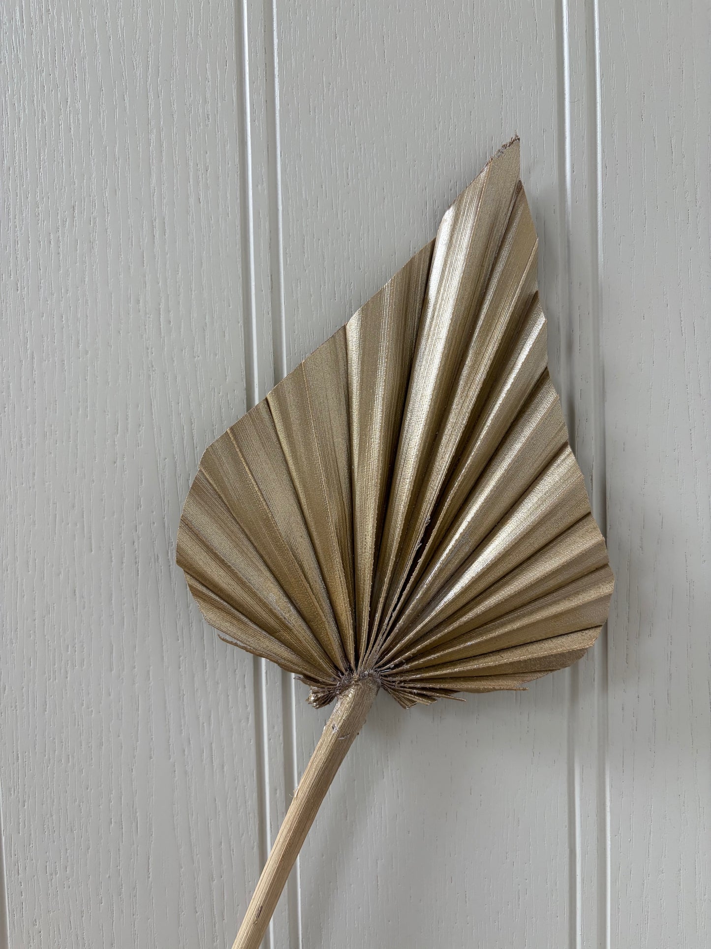 Natural Dried Palm Spears - Gold