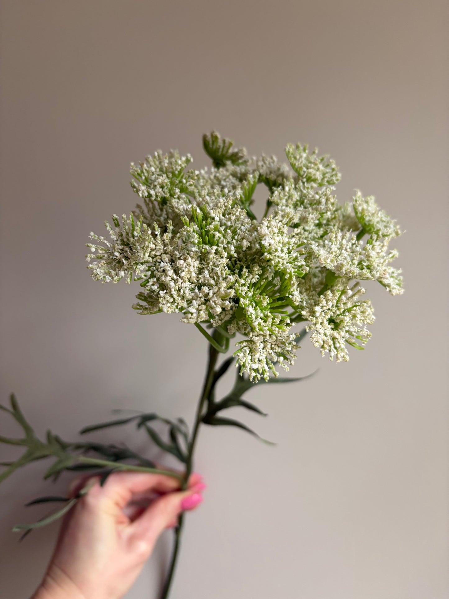 Artificial Dill Blossom Stem