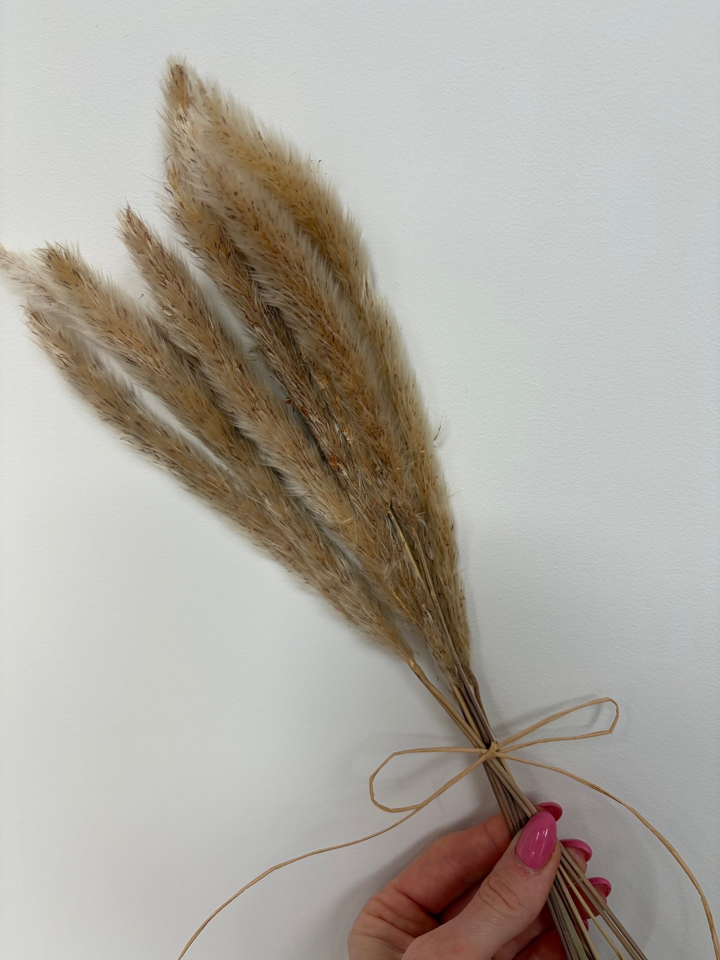 Mini Pampas Bunch