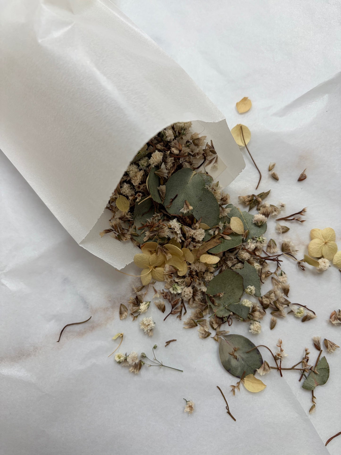 Biodegradable Confetti