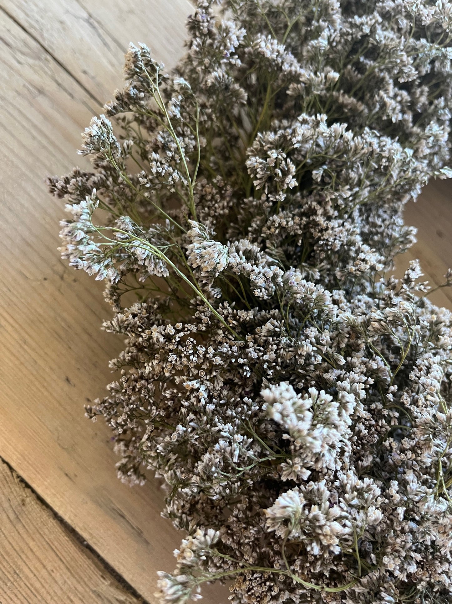 Dried Statice Wreath (Limonium) - Purple
