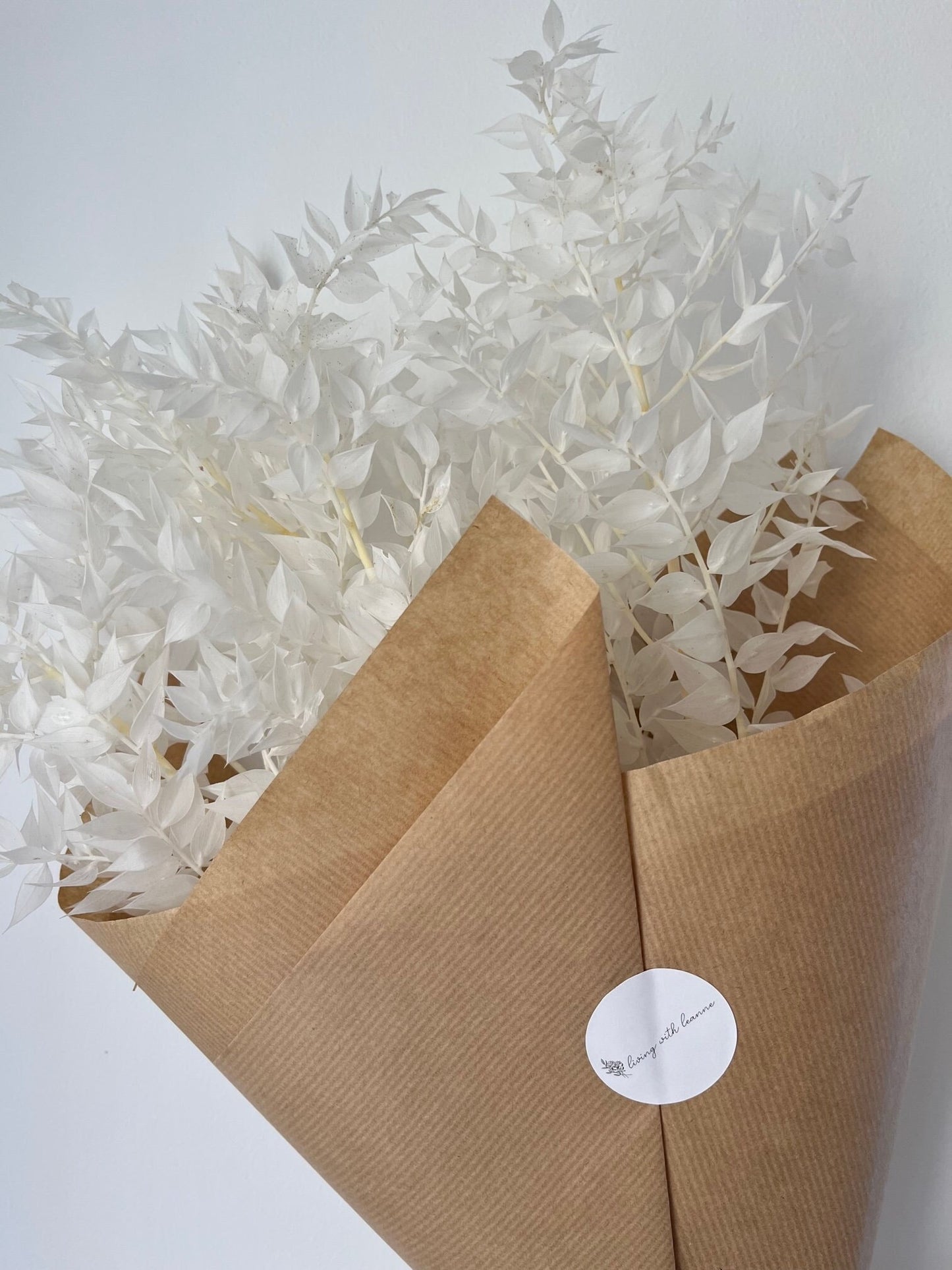 Bleached White Preserved Ruscus