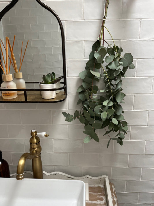 Bunch of Dried Eucalyptus - Large