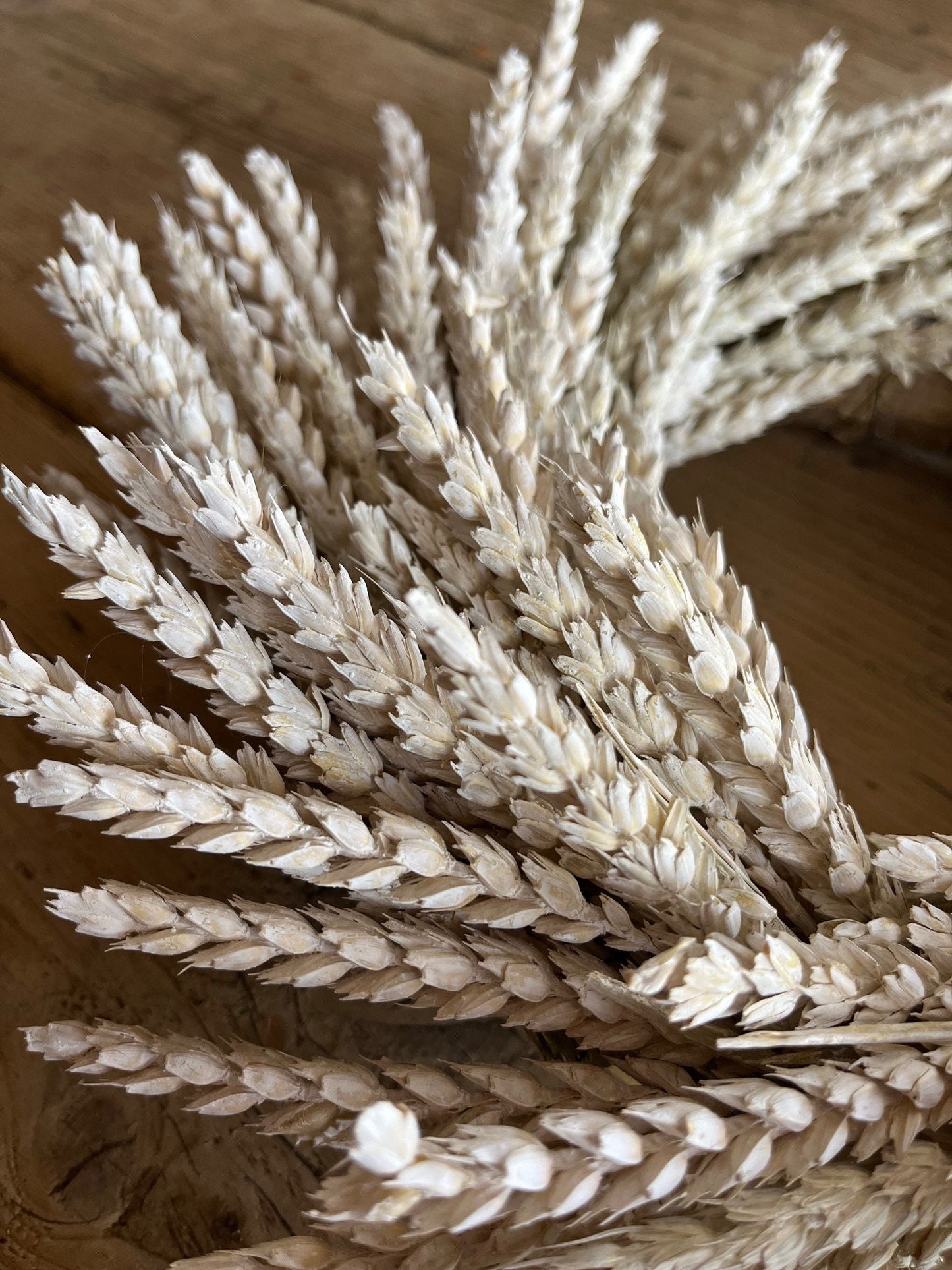 Natural Dried White Wheat Wreath