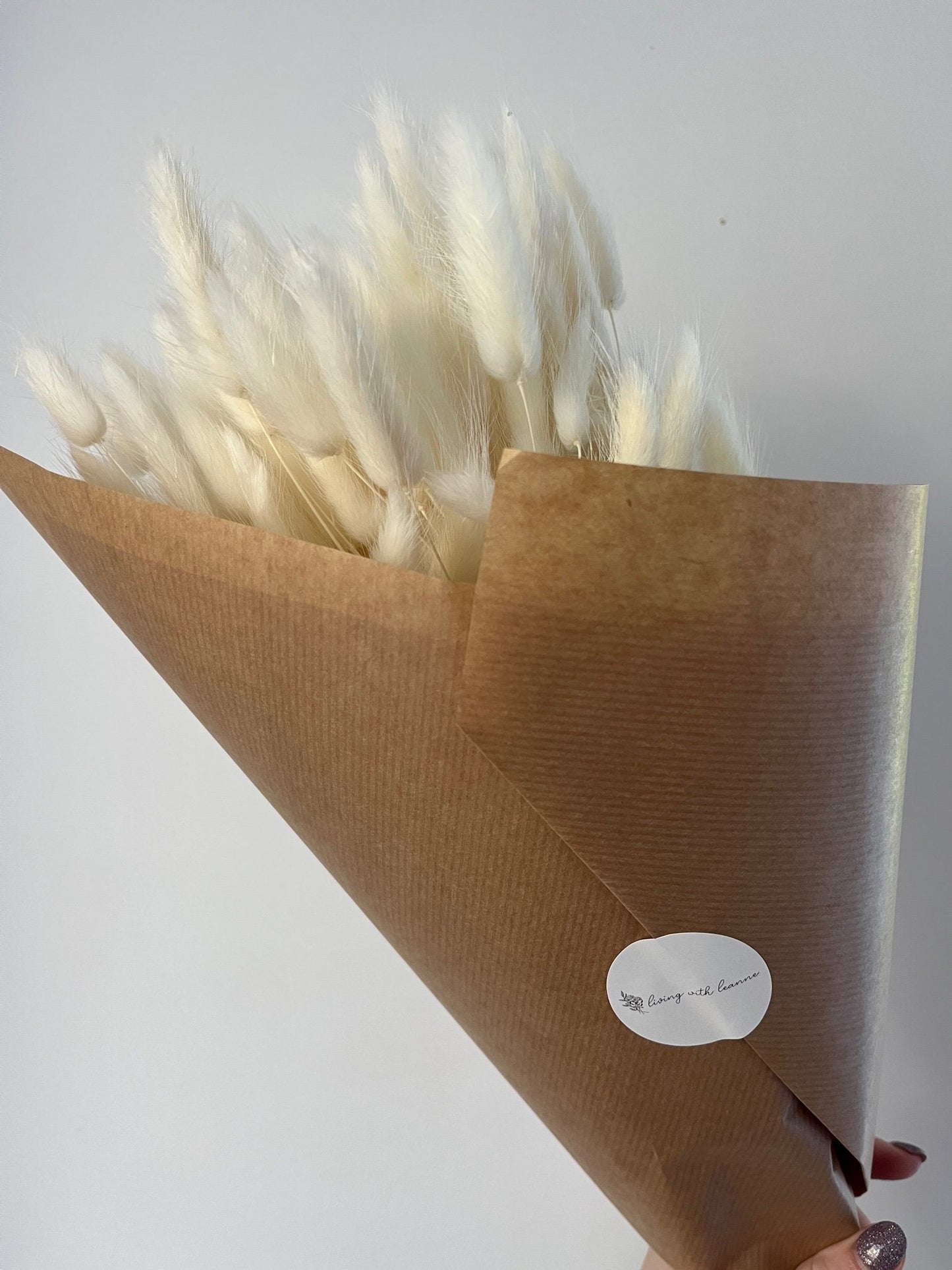 Bunny Tails (Lagurus) - Bleached White