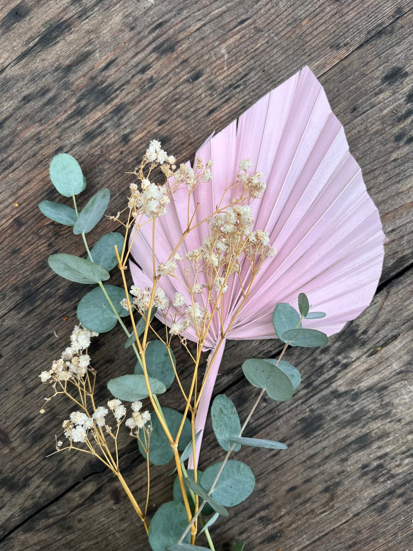 Natural Dried Palm Spears - Pink