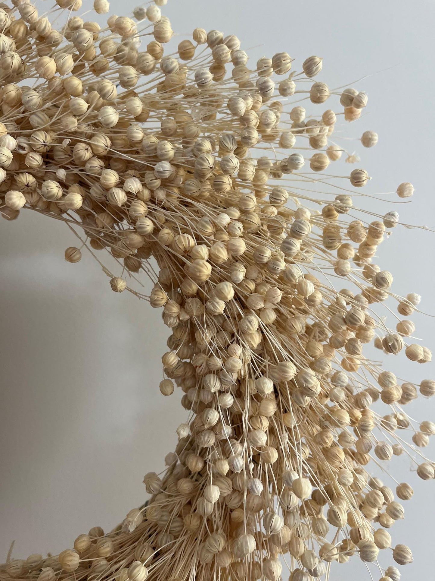 Dried Linum (Flax Seed) Wreath - Natural