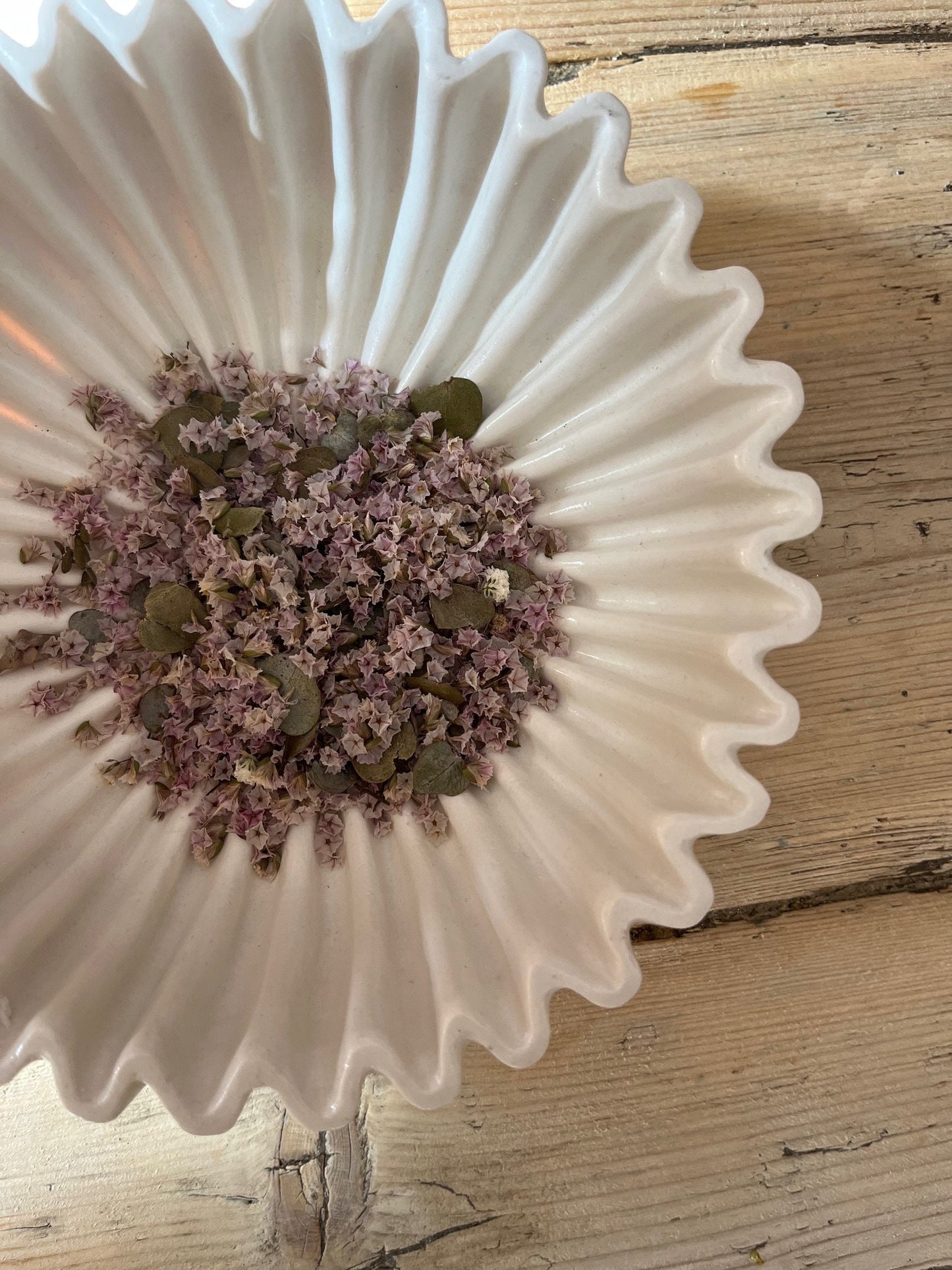 Biodegradable Confetti