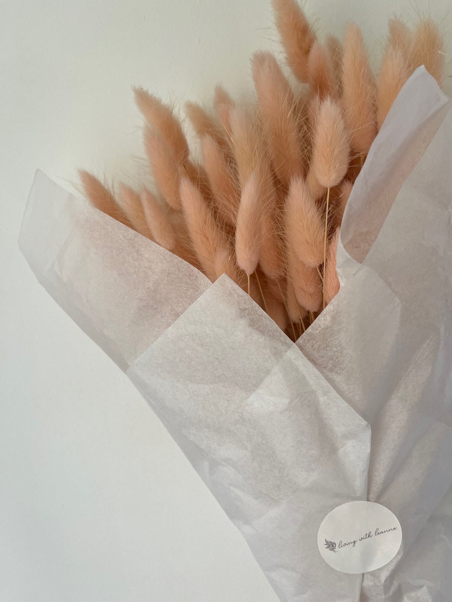 Bunny Tails (Lagurus) - Pink